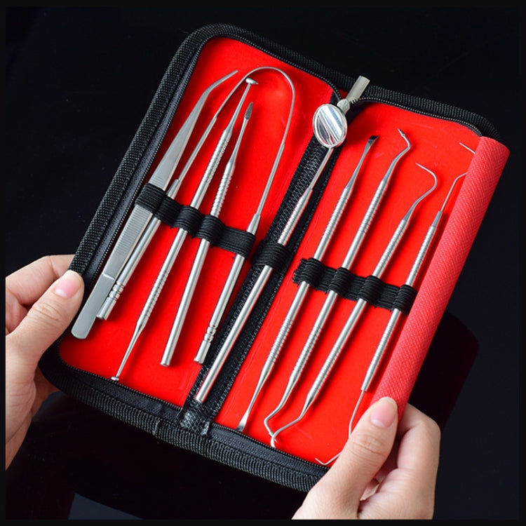 Set strumenti dentali in acciaio inox 9 in 1