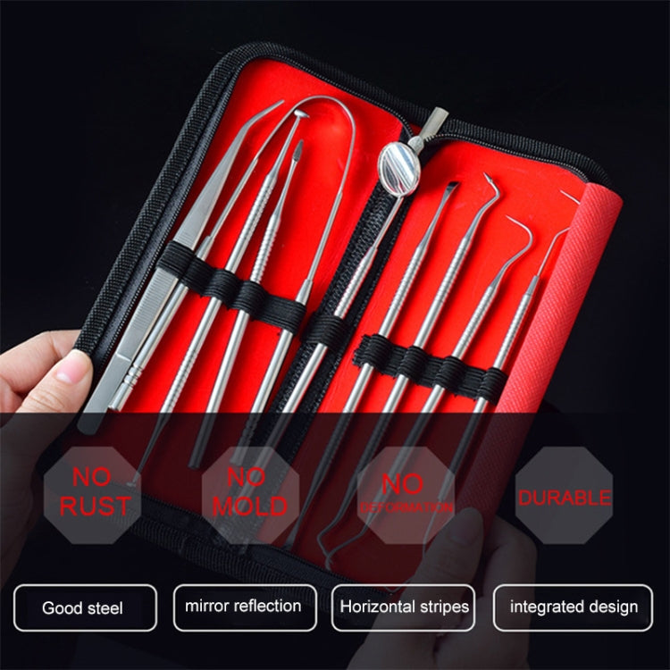 Set strumenti dentali in acciaio inox 9 in 1