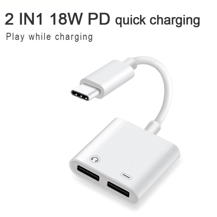 Adattatore 2 in 1 USB-C maschio a USB-C e audio femmina 18W