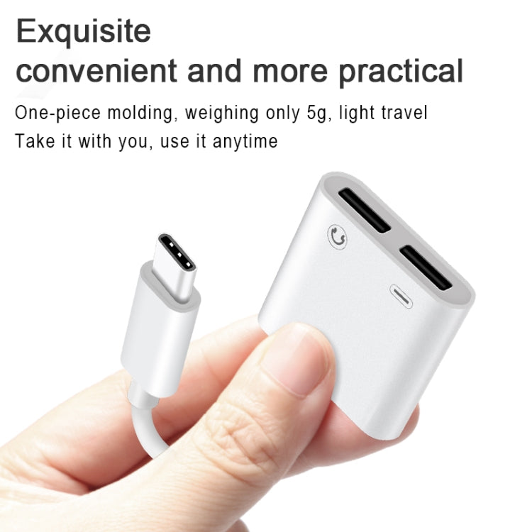 Adattatore 2 in 1 USB-C maschio a USB-C e audio femmina 18W
