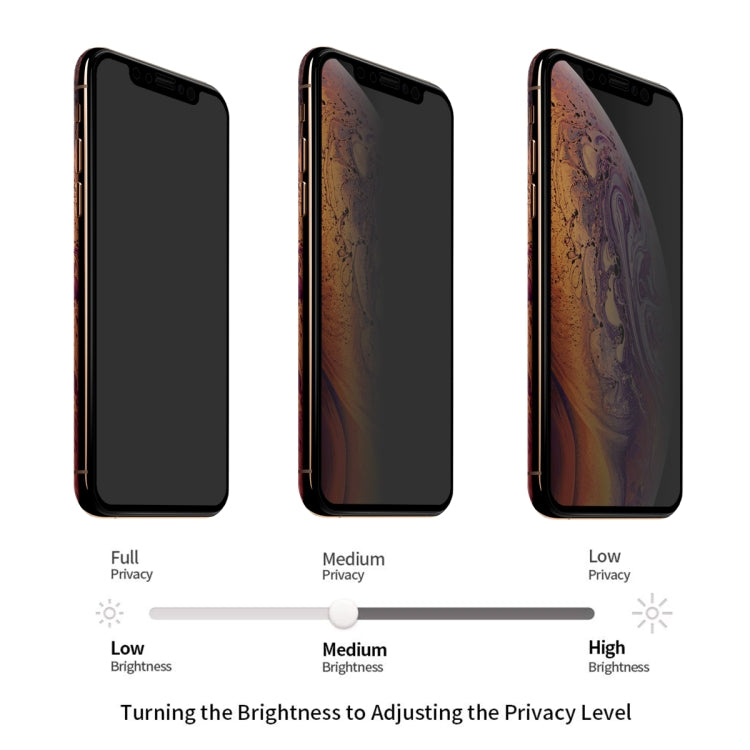 Pellicola vetro temperato privacy per iPhone XS Max