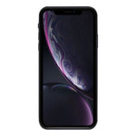 Pellicola protettiva iPhone 11/XR 9H fibra di carbonio