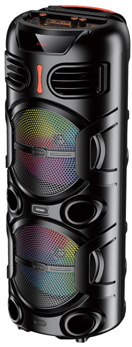 Cassa acustica portatile ricaricabile 2x8" 40W Luce LED Bluetooth/USB KK-8203