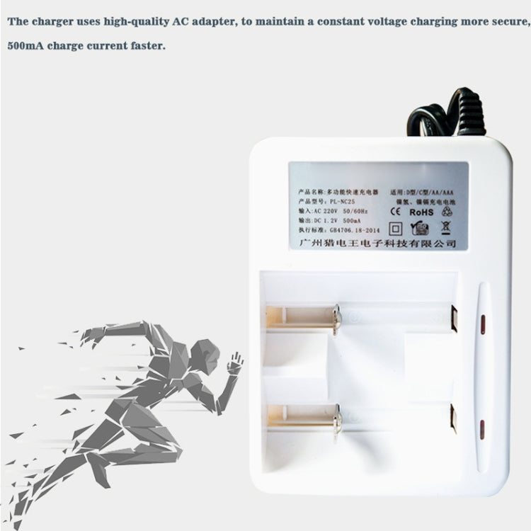 Caricabatterie 220 V a 2 slot per batterie AA, AAA, C e D - immagine 6
