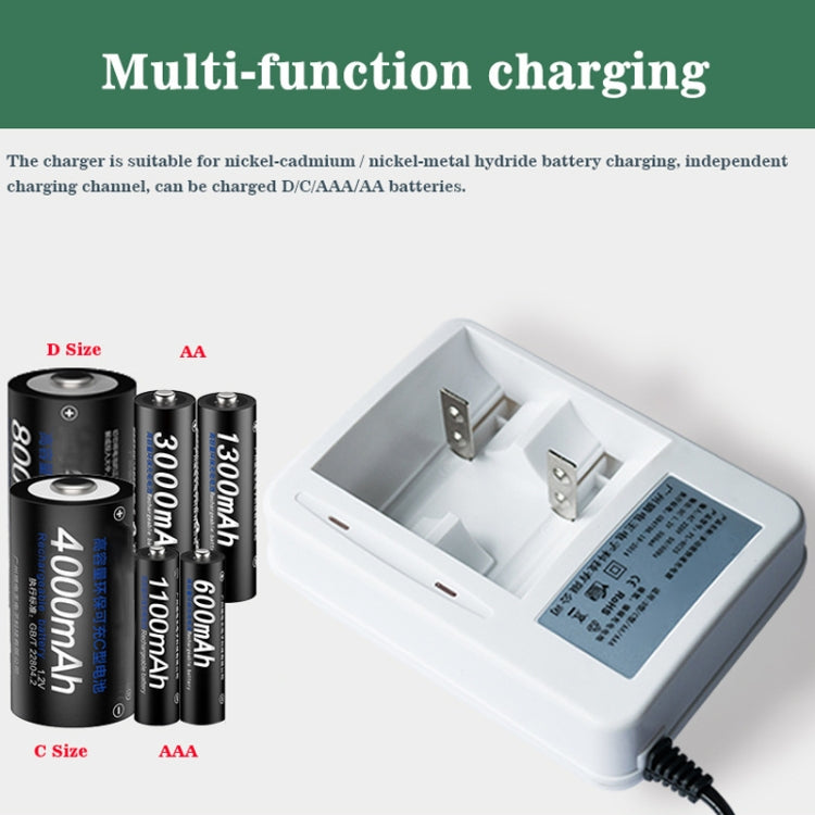 Caricabatterie 220 V a 2 slot per batterie AA, AAA, C e D - immagine 9