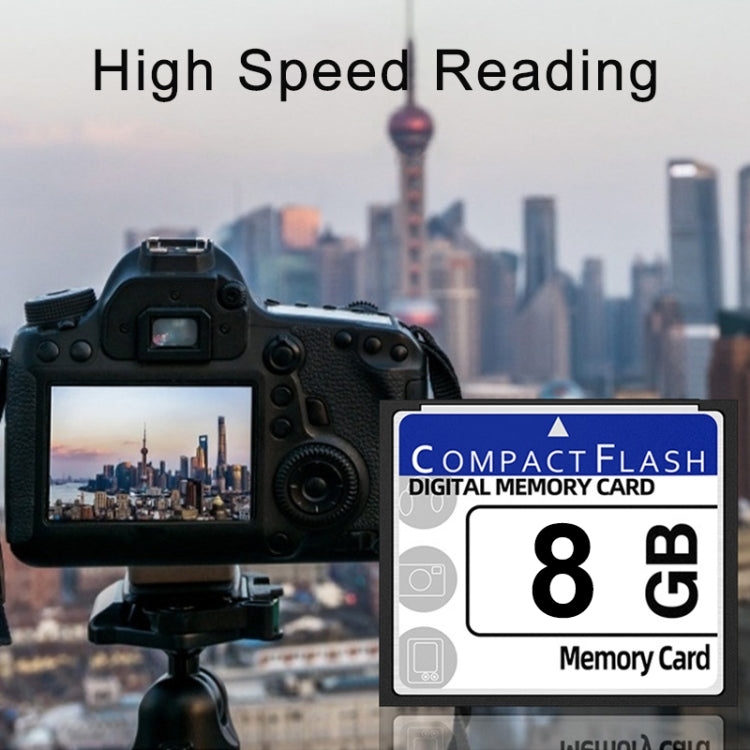 Scheda Compact Flash da 8 GB memoria flash