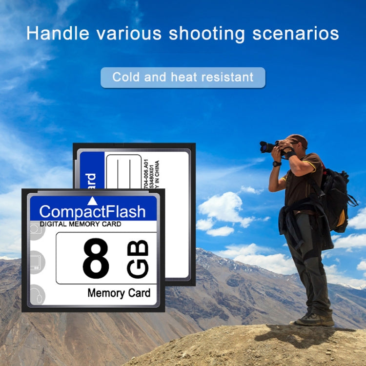 Scheda Compact Flash da 8 GB memoria flash
