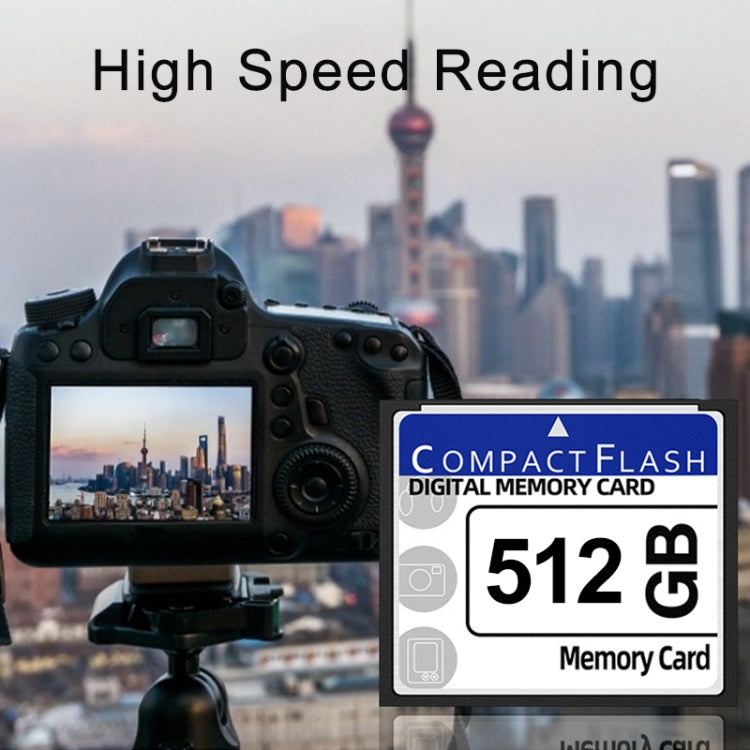Scheda Compact Flash da 512 MB memoria flash