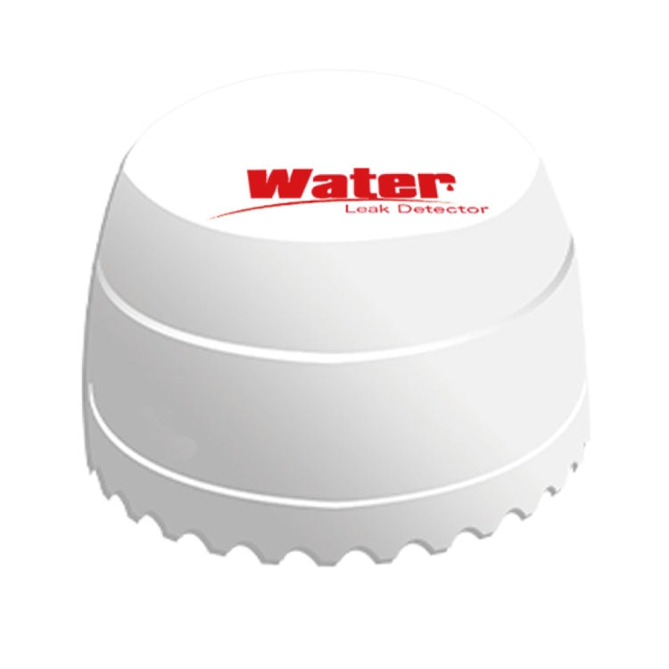 Rilevatore perdite d’acqua DY-SQ100B wireless con due sensori