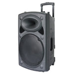 Cassa acustica amplificata 12” con microfono e telecomando Bluetooth/Radio FM 8055598010087 ND-12