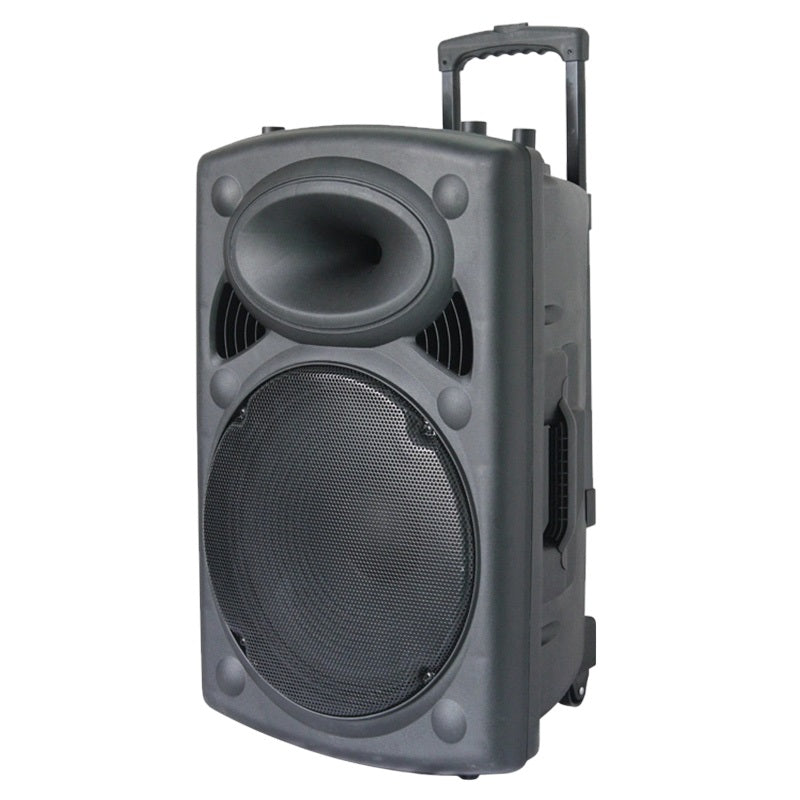 Cassa acustica amplificata 12” con microfono e telecomando Bluetooth/Radio FM 8055598010087 ND-12