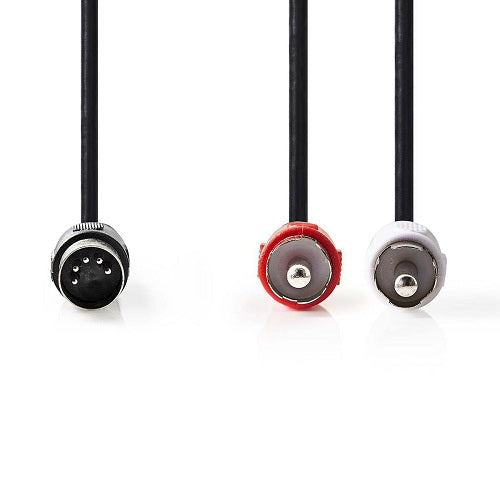 Cavo audio DIN maschio a 5 pin - 2x RCA maschio 1m Nero CAGP20200BK10 5412810281183 ND2262