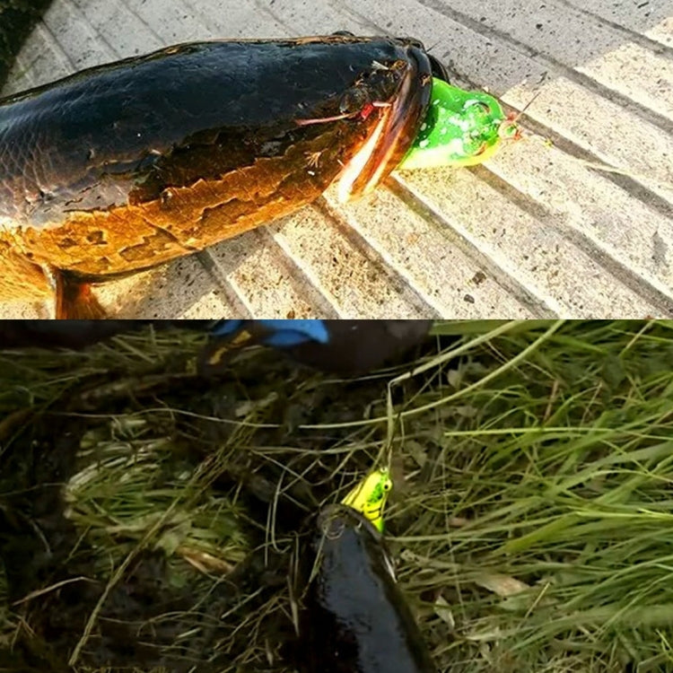 Esche da pesca biomimetiche per pesca 5 cm