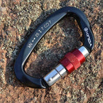 Moschettone arrampicata a forma di D in alluminio