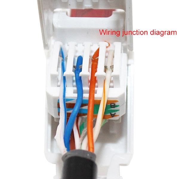 Spina RJ-45 modulare Cat5e a crimpare senza attrezzi