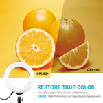 Luce ad anello LED PULUZ RGBW 6,2 pollici con supporto da tavolo - immagine 10