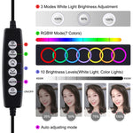 PULUZ 4 in 1 Vlogging Live Broadcast Smartphone Video Rig + Anello RGBW da 4,7 pollici 12 cm LED Selfie Light + Microfono + Kit di montaggio per treppiede tascabile con testa per treppiede con slitta fredda, 4-in-1, 4-in-1 RGBW Ring LED