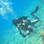Stabilizzatore per vassoio in alluminio a doppia impugnatura PULUZ con morsetto in lega di alluminio a doppia sfera per custodie per fotocamere subacquee, Dual Ball