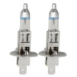 Lampadine Xenon H1 12V 55W 4300K 1600lm Bianco Caldo
