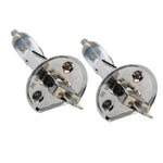 Lampadine Xenon H1 12V 55W 4300K 1600lm Bianco Caldo