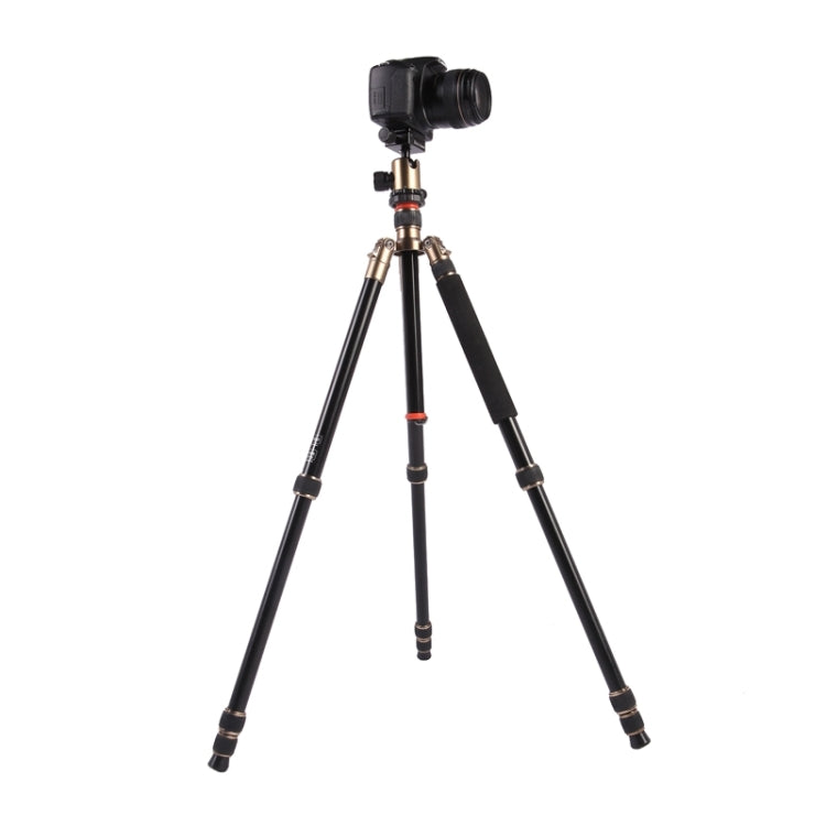 Triopo MT-2504C Treppiede portatile regolabile in alluminio con testa a sfera NB-1S per fotocamera DSLR Canon Nikon Sony, MT-2504C (Black), MT-2504C (Gold)