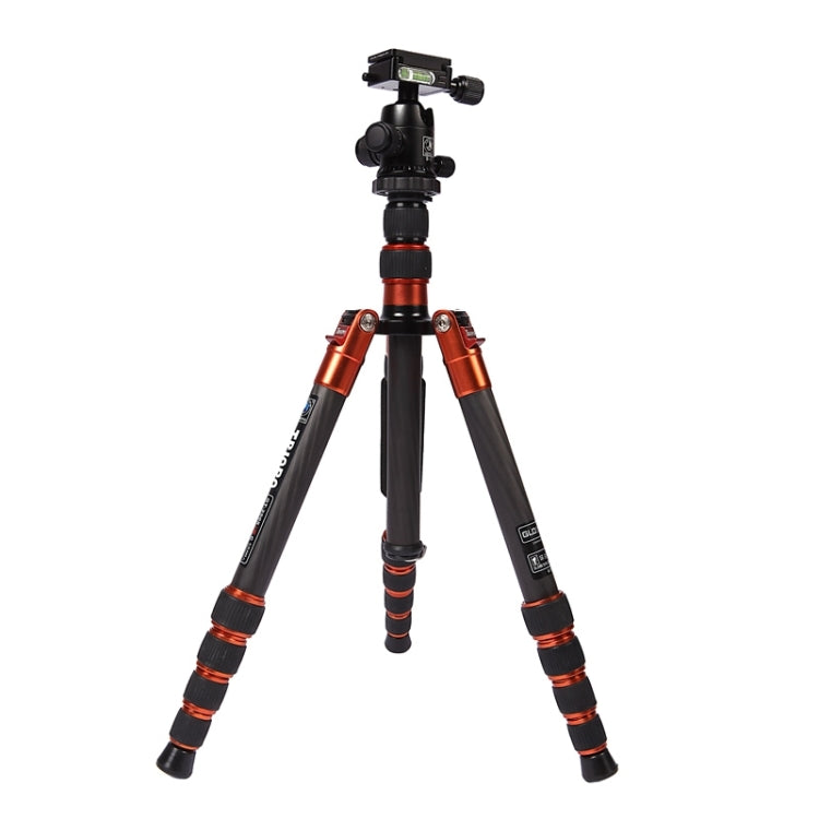 Triopo GT-2505x8.C Treppiede portatile regolabile in fibra di carbonio con testa a sfera in alluminio B-1 per fotocamera DSLR Canon Nikon Sony, GT-2505x8.C (Black), GT-2505x8.C (Gold)