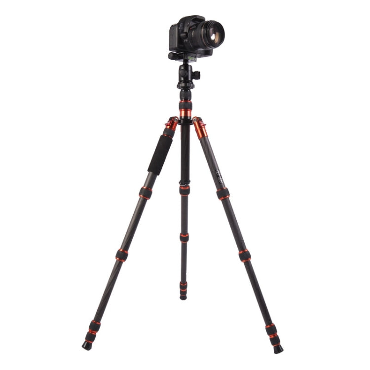 Triopo GT-2505x8.C Treppiede portatile regolabile in fibra di carbonio con testa a sfera in alluminio B-1 per fotocamera DSLR Canon Nikon Sony, GT-2505x8.C (Black), GT-2505x8.C (Gold)