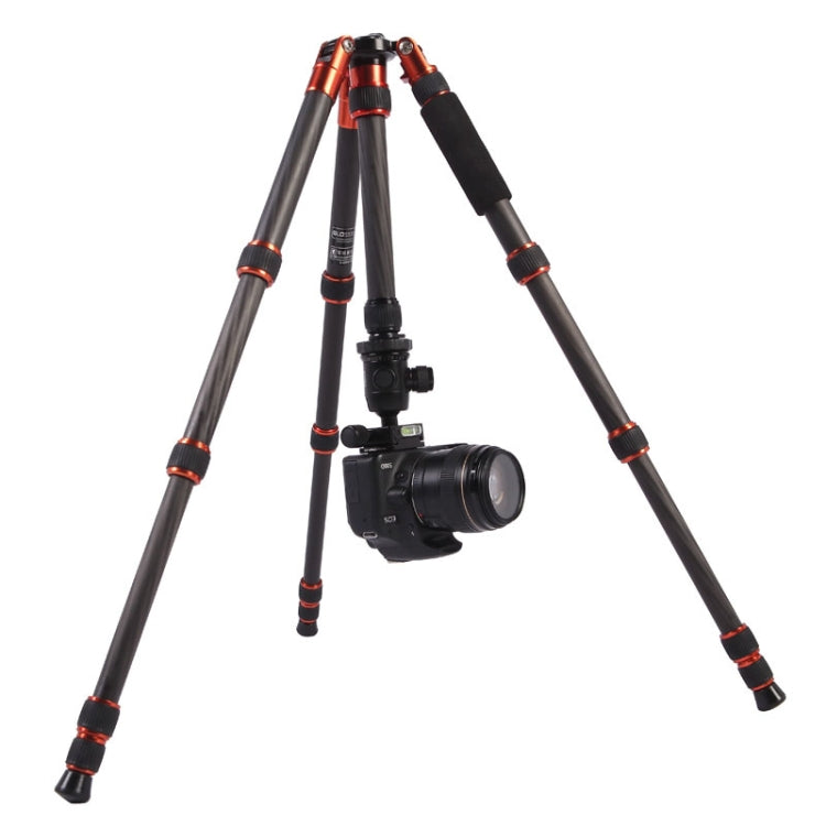 Triopo GT-2505x8.C Treppiede portatile regolabile in fibra di carbonio con testa a sfera in alluminio B-1 per fotocamera DSLR Canon Nikon Sony, GT-2505x8.C (Black), GT-2505x8.C (Gold)