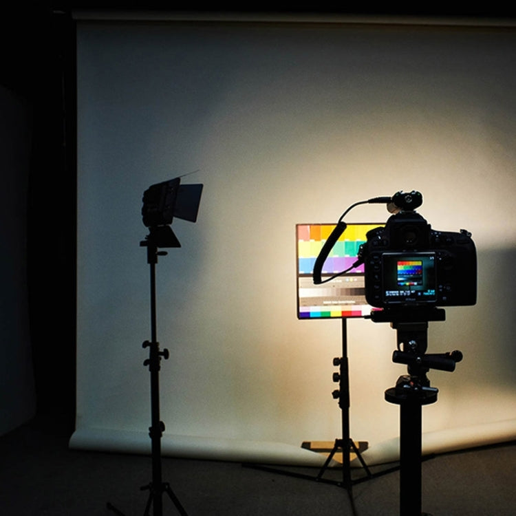 YONGNUO YN300 III Luce video per fotocamera LED per Canon Nikon Olympus, YN300 III