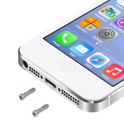 Viti dock per iPhone 5 e 5S, set da 20 argento