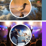 Obiettivo universale 12X per smartphone con clip