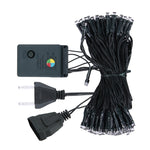 Luce RGB 100 LED con controller effetto lampeggiante 220V