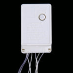 Stringa luminosa 100 LED con controller 8 modalità CA 110V
