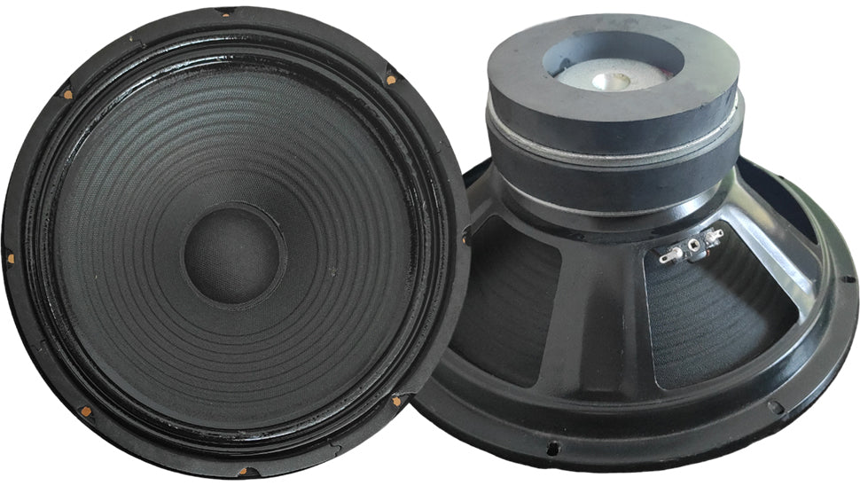 Woofer 10 pollici 255mm 200W 4 Ohm doppio magnete