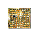 Chip gestione alimentazione MAX77865S per Galaxy S8