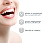 4 testine di ricambio D903/D904 per Mornwel D01