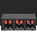 Amplificatore audio 2 ingressi e 1 uscita con controllo volume - immagine 5