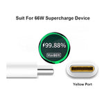 Caricabatterie da viaggio USB 66W con cavo Tipo C