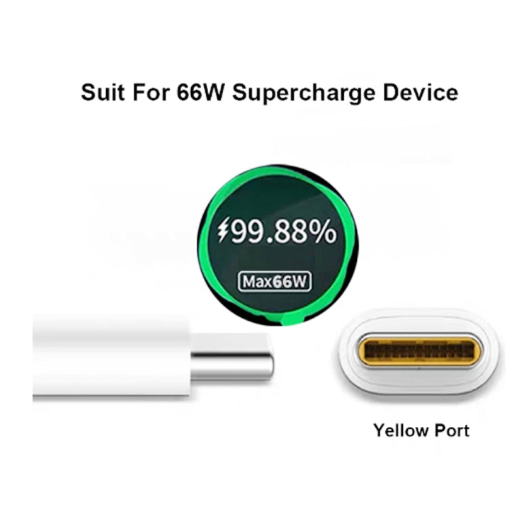 Caricabatterie USB 66W con cavo Tipo C e spina EU
