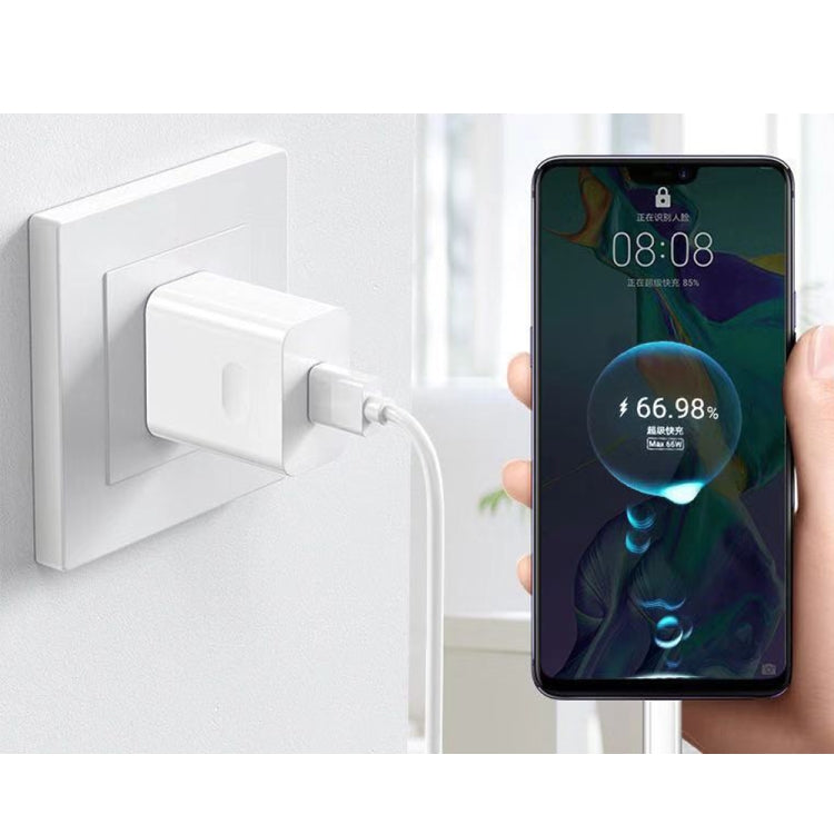 Caricabatterie USB 66W con cavo Tipo C e spina EU