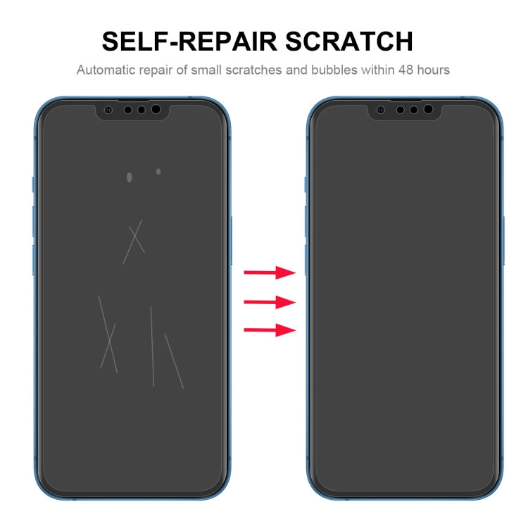 Pellicola idrogel antideflagrante per iPhone 13 Pro Max