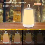 Lampada touch dimmerabile RGB con telecomando ST117