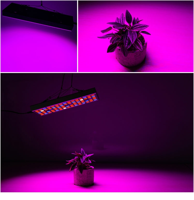 Lampada LED 25W a spettro completo per piante
