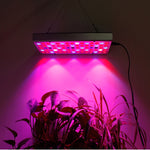 Lampada LED 25W a spettro completo per piante