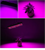 Lampada LED 25W a spettro completo per piante