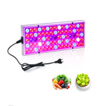 Lampada LED 25W a spettro completo per piante
