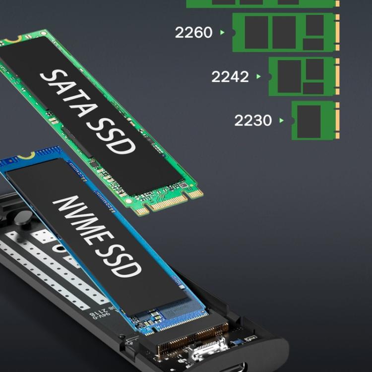 Box esterno Lemorele Dual-Bay M.2 NVMe SATA 10Gbps