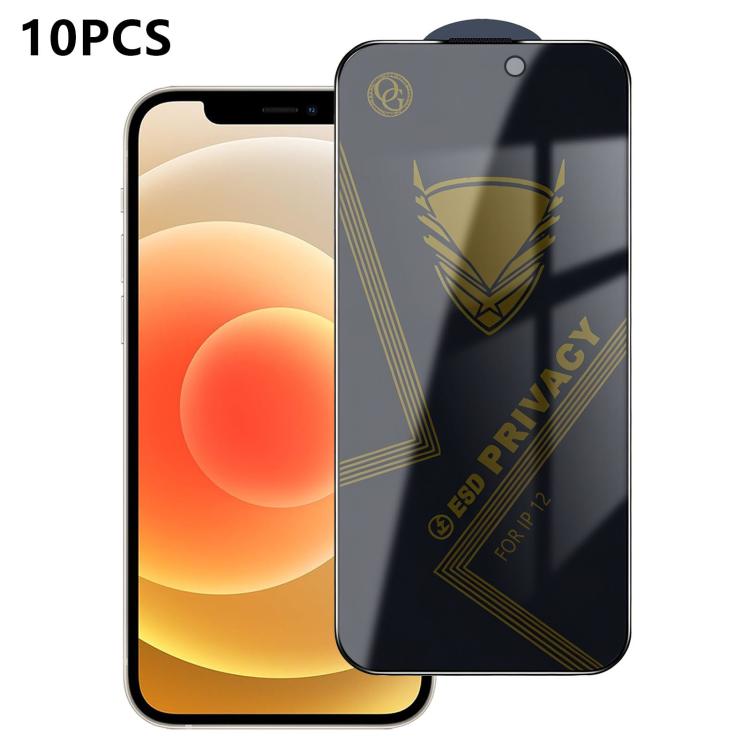 Pellicola vetro temperato privacy per iPhone 17e e 16e