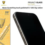 Pellicola vetro temperato privacy per iPhone 17e e 16e