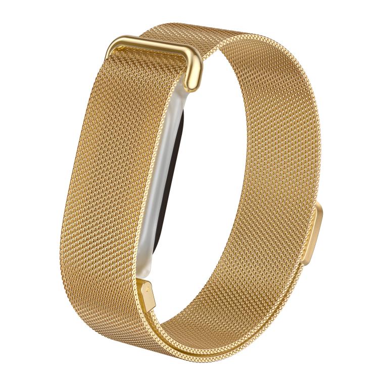 Cornice integrata in plastica trasparente satinata, cinturino milanese in acciaio inossidabile., For Google Fitbit Air
